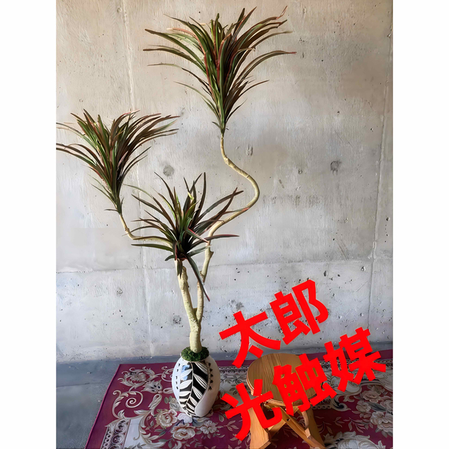 最大95%OFFクーポン 光触媒 人工観葉植物 ウォールグリーン フェイク