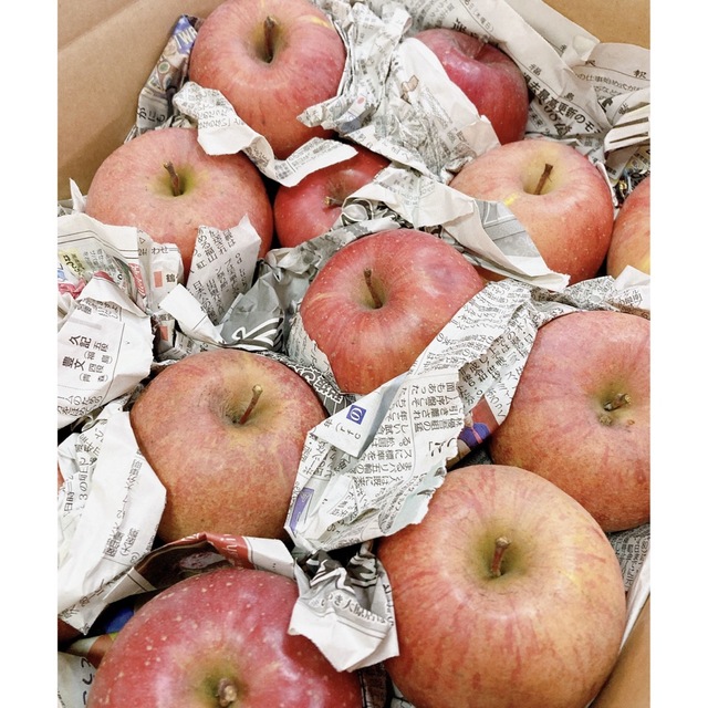 3月19日発送。会津の樹上葉取らず家庭用リンゴ約38個入り　 食品/飲料/酒の食品(フルーツ)の商品写真