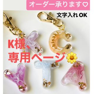 【K様専用】レジン　イニシャルキーホルダー(バッグチャーム)