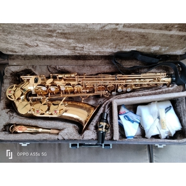 Yanagisawa A-900 アルトサックス 管楽器 Yanagisawa A-900 アルトサックス 管楽器