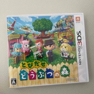 とびだせ どうぶつの森 3DS(その他)