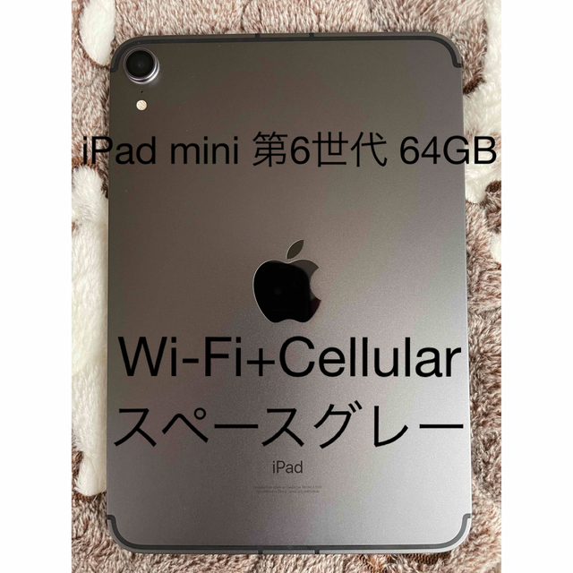 iPad mini 第6世代 Space Gray Wi-Fi 64GB オマケ - www.stedile.com.br