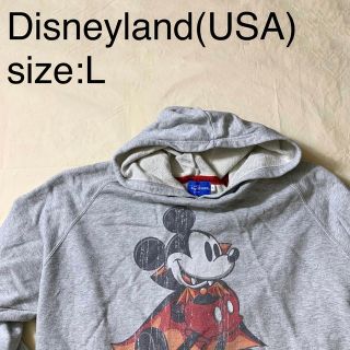 ディズニー(Disney)のDisneyland(USA)ビンテージグラフィックスウェットパーカ(パーカー)