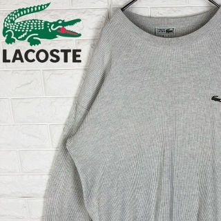 ラコステ カジュアル ニット/セーター(メンズ)の通販 46点 | LACOSTEの