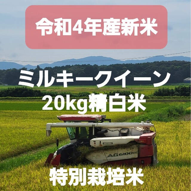 特別栽培米4年産精米20kgミルキークイーン