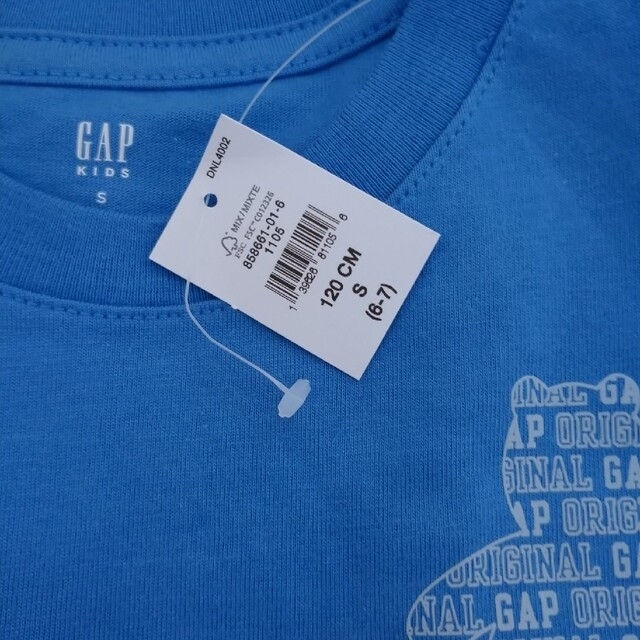 GAP Kids(ギャップキッズ)の【新品】ソフトジャージー ブラナンベア Tシャツ キッズ/ベビー/マタニティのキッズ服男の子用(90cm~)(Tシャツ/カットソー)の商品写真