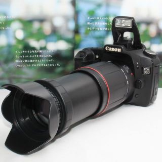 ニコン(Nikon)の❤️迫力満点の 300mm 超望遠❤️本格一眼❤️Canon EOS 30D❤️(デジタル一眼)