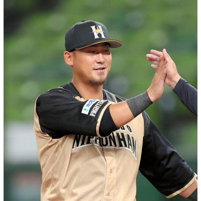 元WBC 侍ジャパンJAPAN 直筆サイン中田翔内野手現読売巨人軍