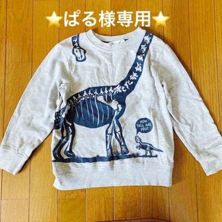 エイチアンドエム(H&M)のぱる様専用　H&Mトレーナー＋長袖黒Tシャツ 120cm 恐竜(Tシャツ/カットソー)