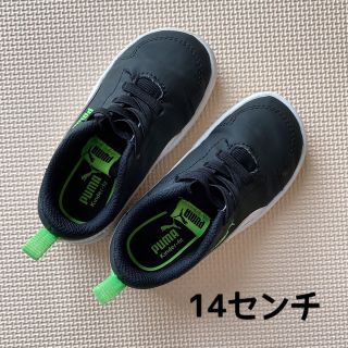 プーマ(PUMA)のPUMA プーマ ベビーシューズ 14センチ(スニーカー)