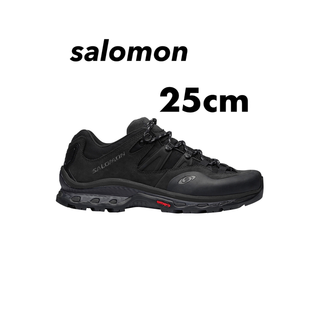 salomon XT-QUEST 2 ADVANCED 25cm 【限定製作】 ogawask.com