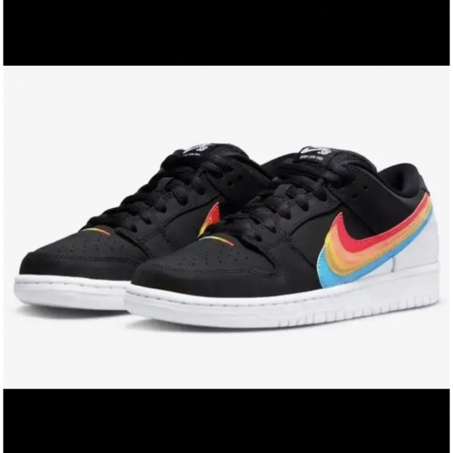 Polaroid × Nike SB Dunk Low Pro 26.5cm