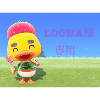 ニンテンドースイッチ(Nintendo Switch)のあつ森amiiboカード(カード)