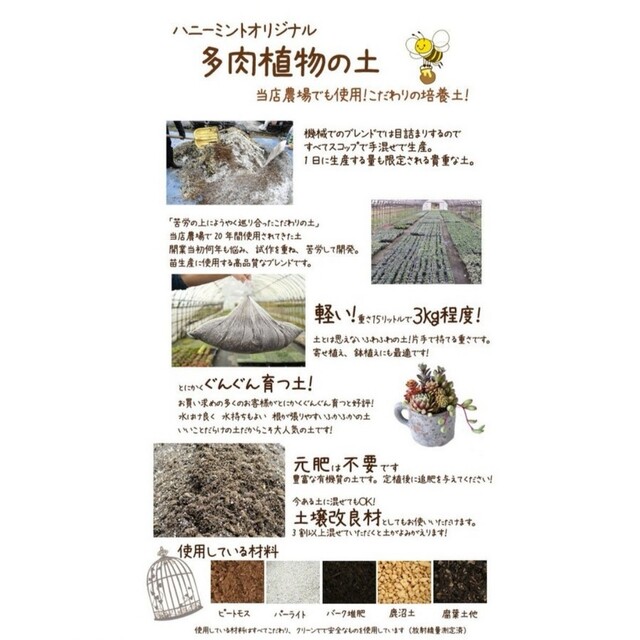 大人気専門店オリジナル培養土2L☆農家産サボテン・多肉植物用培養土♪ハニーミント ハンドメイドのフラワー/ガーデン(プランター)の商品写真