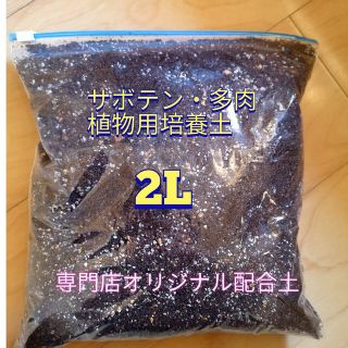 大人気専門店オリジナル培養土2L☆農家産サボテン・多肉植物用培養土♪ハニーミント(プランター)