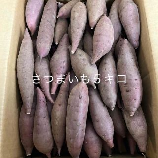 さつまいも５キロ(野菜)