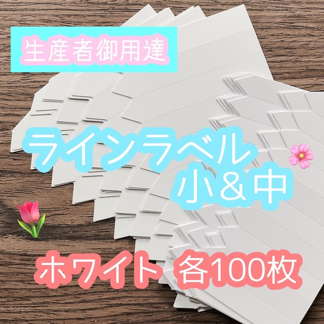 ラインラベル 小＆中 白 各100枚 園芸カラーラベル 多肉植物 エケベリア  ハンドメイドのフラワー/ガーデン(プランター)の商品写真