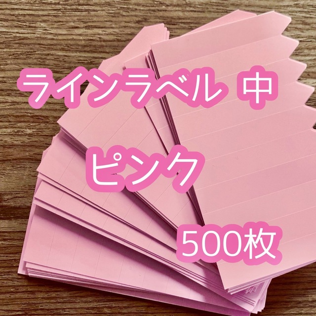 ラインラベル 中 桃 500枚 園芸カラーラベル 多肉植物 エケベリア ハンドメイドのフラワー/ガーデン(プランター)の商品写真