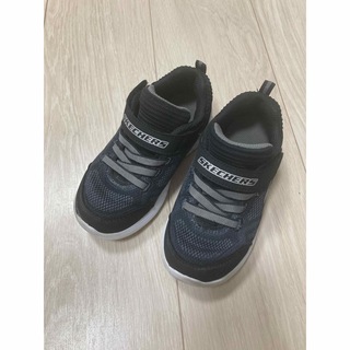 スケッチャーズ(SKECHERS)のSKECHERS スニーカー 16cm(スニーカー)