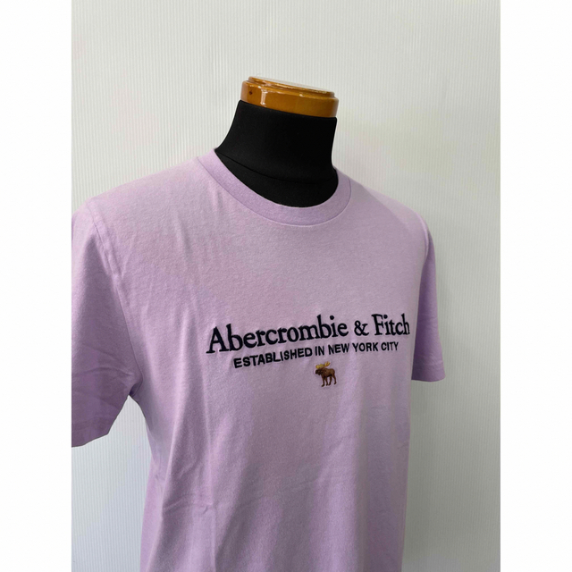 Abercrombie&Fitch(アバクロンビーアンドフィッチ)の新品★アバクロメンズ刺繍ロゴＴシャツパープル★サイズM メンズのトップス(Tシャツ/カットソー(半袖/袖なし))の商品写真