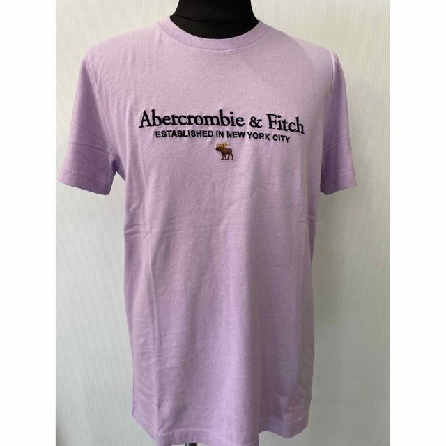 Abercrombie&Fitch(アバクロンビーアンドフィッチ)の新品★アバクロメンズ刺繍ロゴＴシャツパープル★サイズM メンズのトップス(Tシャツ/カットソー(半袖/袖なし))の商品写真