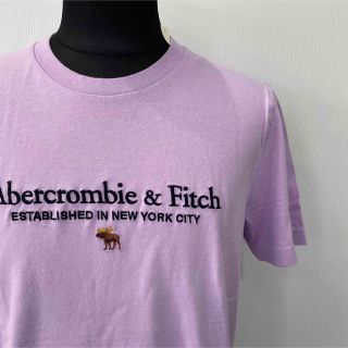 アバクロンビーアンドフィッチ(Abercrombie&Fitch)の新品★アバクロメンズ刺繍ロゴＴシャツパープル★サイズM(Tシャツ/カットソー(半袖/袖なし))