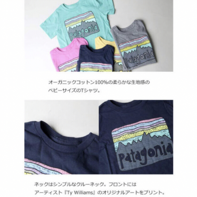 patagonia(パタゴニア)の大特価‼️patagonia ロゴTシャツ⭐️オーガニックコットン⭐️4T⭐️ キッズ/ベビー/マタニティのキッズ服女の子用(90cm~)(Tシャツ/カットソー)の商品写真