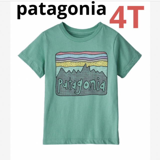 patagonia(パタゴニア)の大特価‼️patagonia ロゴTシャツ⭐️オーガニックコットン⭐️4T⭐️ キッズ/ベビー/マタニティのキッズ服女の子用(90cm~)(Tシャツ/カットソー)の商品写真