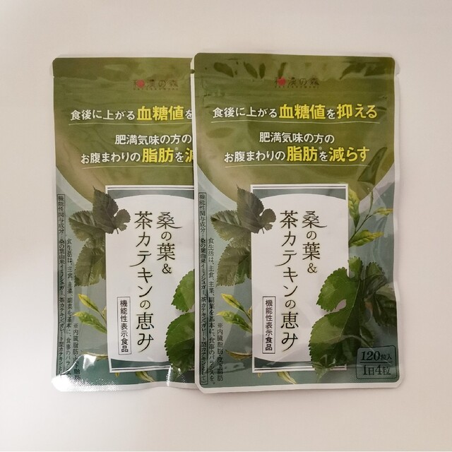 2袋セット 桑の葉&茶カテキンの恵み | www.mairie-bilieu.fr