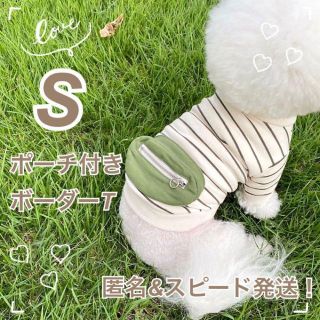 犬服 ポケット付き ボーダースウェット 【Sサイズ】【グリーン】 犬の服(犬)