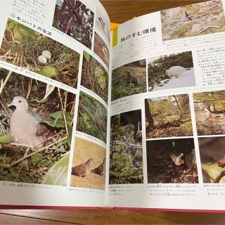 学研　原色ワイド図鑑　社会　地理　歴史　6冊セット　まとめ売り