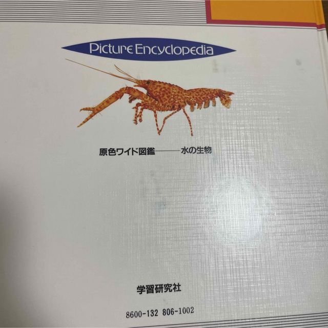 学研 - 学研 原色ワイド図鑑 昆虫 魚 7冊セット まとめ売りの 学研 - 学研 原色ワイド図鑑 昆虫 魚 7冊セット まとめ売りの