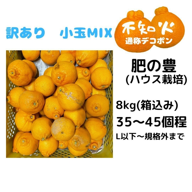 不知火 訳あり 小玉MIX8kg(デコポン) 食品/飲料/酒の食品(フルーツ)の商品写真