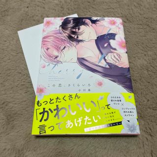 BL新刊 この恋、さくらいろ 小川春(ボーイズラブ(BL))