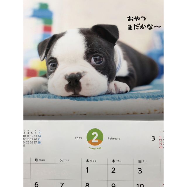 2023年　壁掛けカレンダー　Animal Hug インテリア/住まい/日用品の文房具(カレンダー/スケジュール)の商品写真