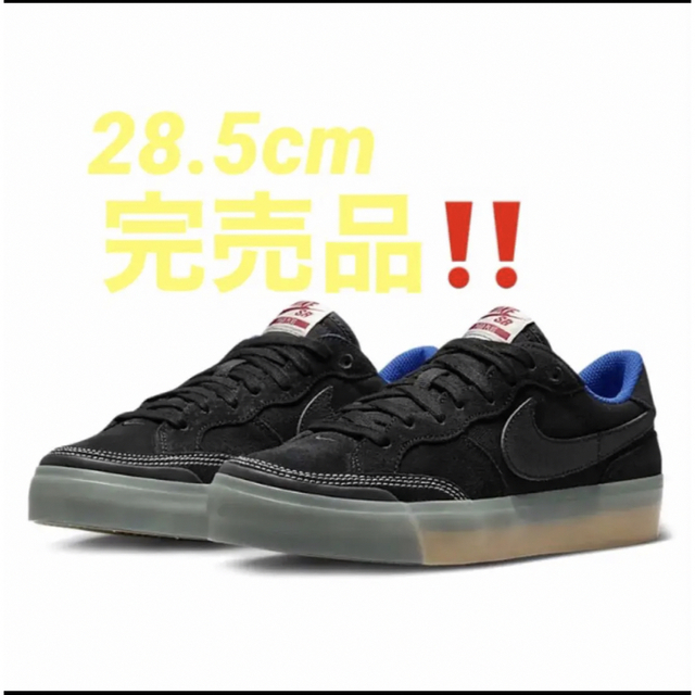 NIKE SBナイキエスビー ❣️ZOOM POGO PLUS PREMIUM