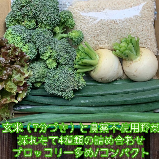 玄米（7分づき）と農薬不使用野菜＊採れたて4種類の詰め合せ＊セット＊コンパクト 食品/飲料/酒の食品(野菜)の商品写真