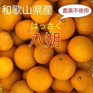 はっさく 箱込み10kg 農薬不使用 和歌山県産(フルーツ)