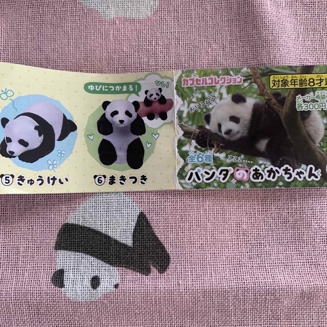 パンダのあかちゃん　（きゅうけい） エンタメ/ホビーのおもちゃ/ぬいぐるみ(キャラクターグッズ)の商品写真