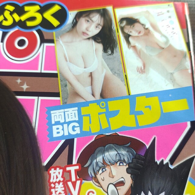 秋田書店(アキタショテン)の菊池姫奈   ポスター付き   週刊少年チャンピオン    応募券無 エンタメ/ホビーの雑誌(アート/エンタメ/ホビー)の商品写真