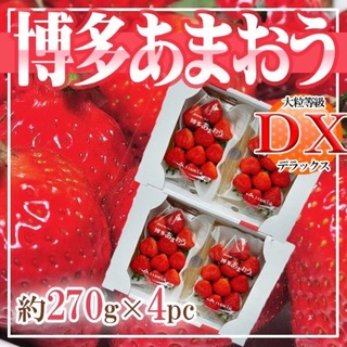 福岡県産　博多あまおう　DX　1パック約270g×4パック(フルーツ)