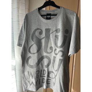 ステューシー(STUSSY)のOLD STUSSY T-SHIRT(Tシャツ/カットソー(半袖/袖なし))