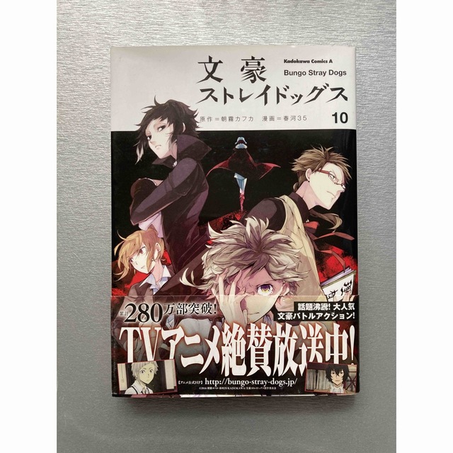 角川書店(カドカワショテン)の文豪ストレイドッグス １０巻 エンタメ/ホビーの漫画(その他)の商品写真