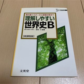 理解しやすい世界史Ｂ 新課程版(その他)