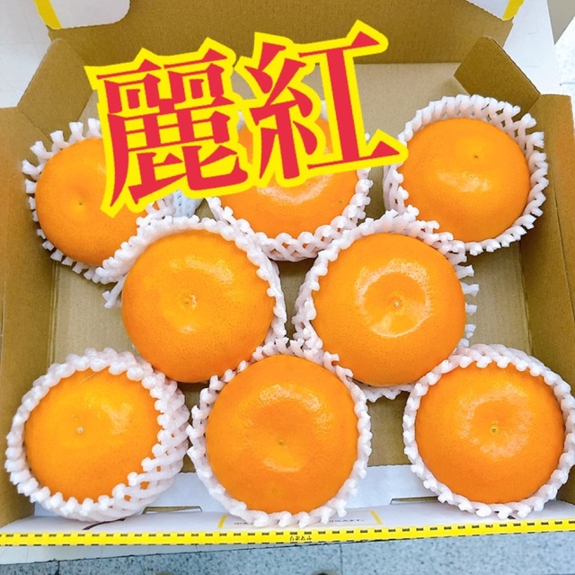 和歌山産 JA有田 麗紅 食品/飲料/酒の食品(フルーツ)の商品写真