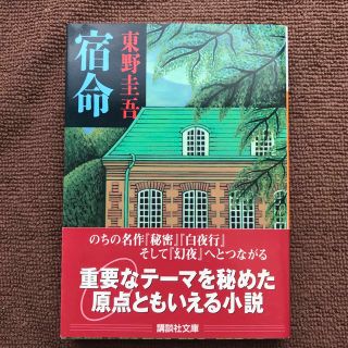 宿命(文学/小説)