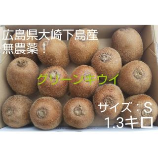 無農薬！皮まで食べられるグリーンキウイS玉1.3キロ(フルーツ)