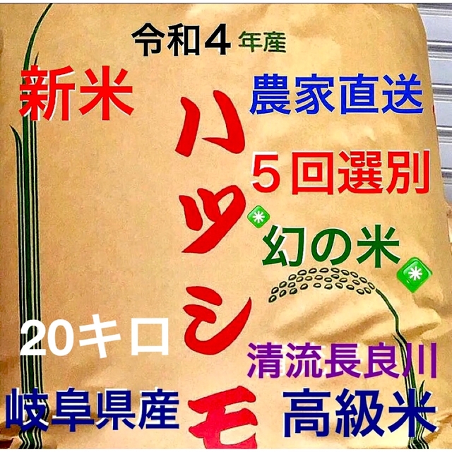 ✳️令和４年産✳️5回色彩選別・有機肥料・送料無料ハツシモ20キロ減農薬