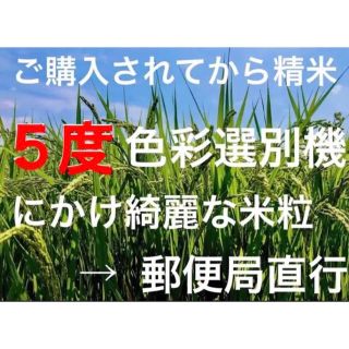 ✳️令和4年産✳️5回色彩選別・有機肥料・送料無料ハツシモ20キロの
