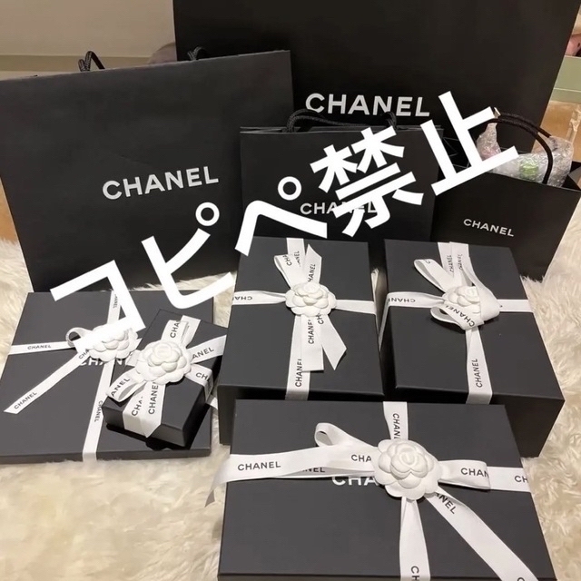 CHANEL(シャネル)の💖CHANEL 💖希少　シャネル　ヴァニティ　ケース新品23P レディースのバッグ(ハンドバッグ)の商品写真